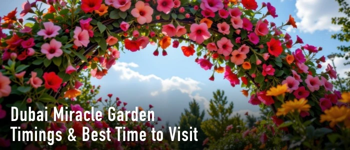 Dubai Miracle Garden Timings & Best Time to Visit