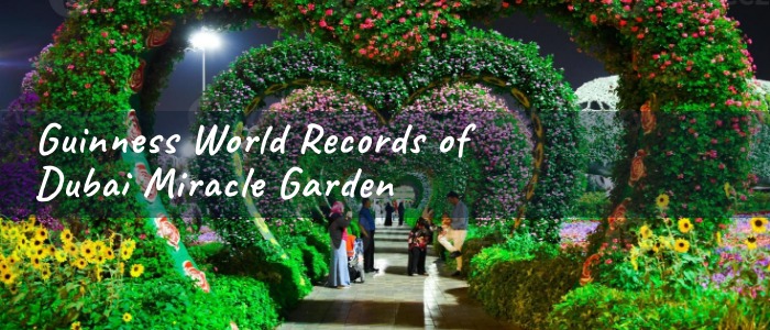 Guinness World Records of Dubai Miracle Garden