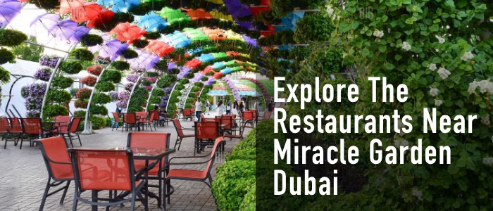 Explore the restaurants near miracle garden dubai