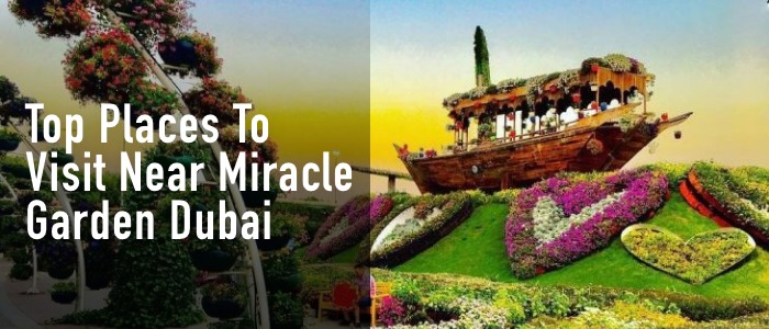 Top Places to Visit Near Miracle Garden Dubai — More Than Just Flowers