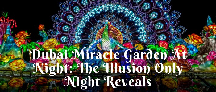 Dubai Miracle Garden at Night: The Illusion Only Night Reveals