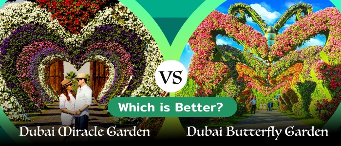 Which is Better Dubai Miracle Garden vs Dubai Butterfly Garden?