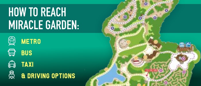 How to Reach Miracle Garden: Metro, Bus, Taxi & Driving Options
