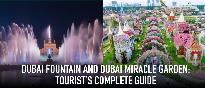 Dubai Fountain and Dubai Miracle Garden: Your Ultimate Guide