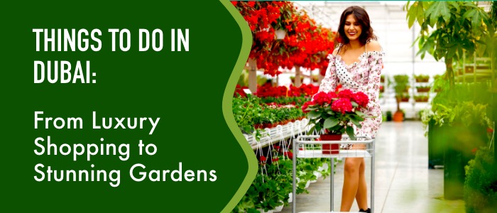 Things to Do in Dubai: From Luxury Shopping to Stunning Gardens