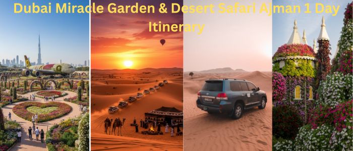 Dubai Miracle Garden & Desert Safari Ajman 1 Day Itinerary