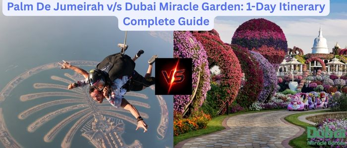 Palm De Jumeirah v/s Dubai Miracle Garden