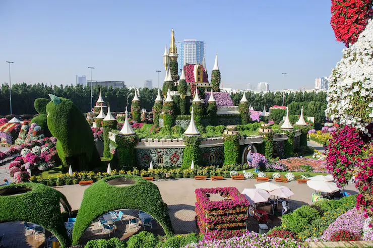 dubai miracle garden image