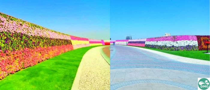 miracle garden longest wall