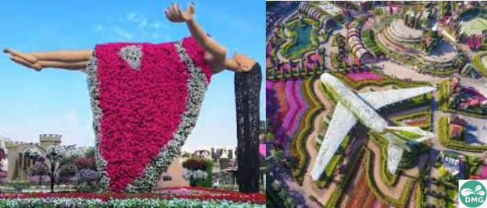 miracle garden largest verticle garden