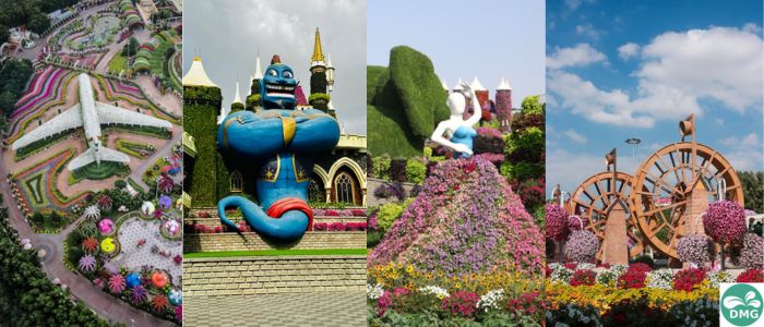 different place in miracle garden