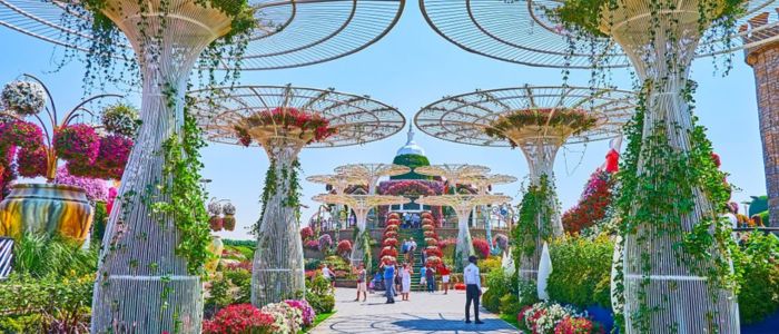 Miracle garden Views