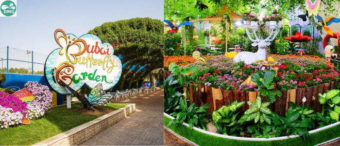 Dubai Butterfly Garden