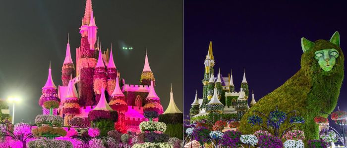 Dubai Miracle garden at night