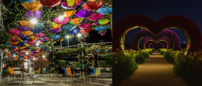 miracle garden at night