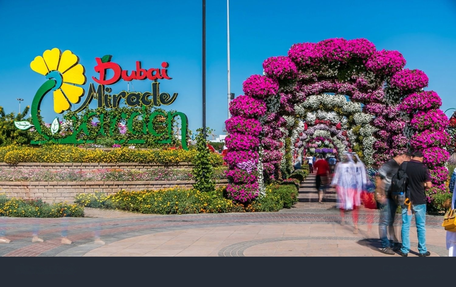 Dubai miracle garden entrance
