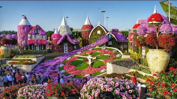 miracle garden uae