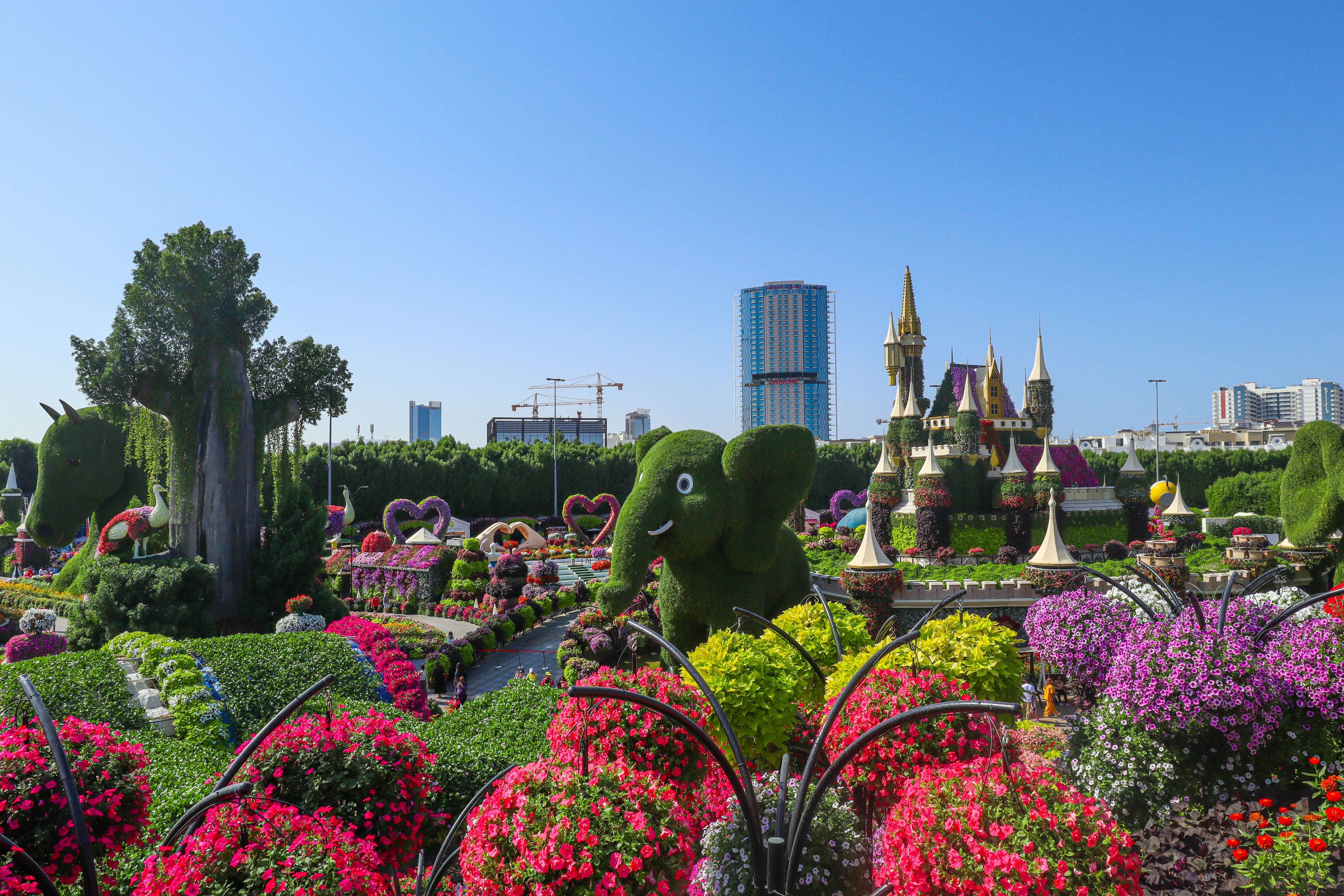 Miracle Gardens of Dubai
