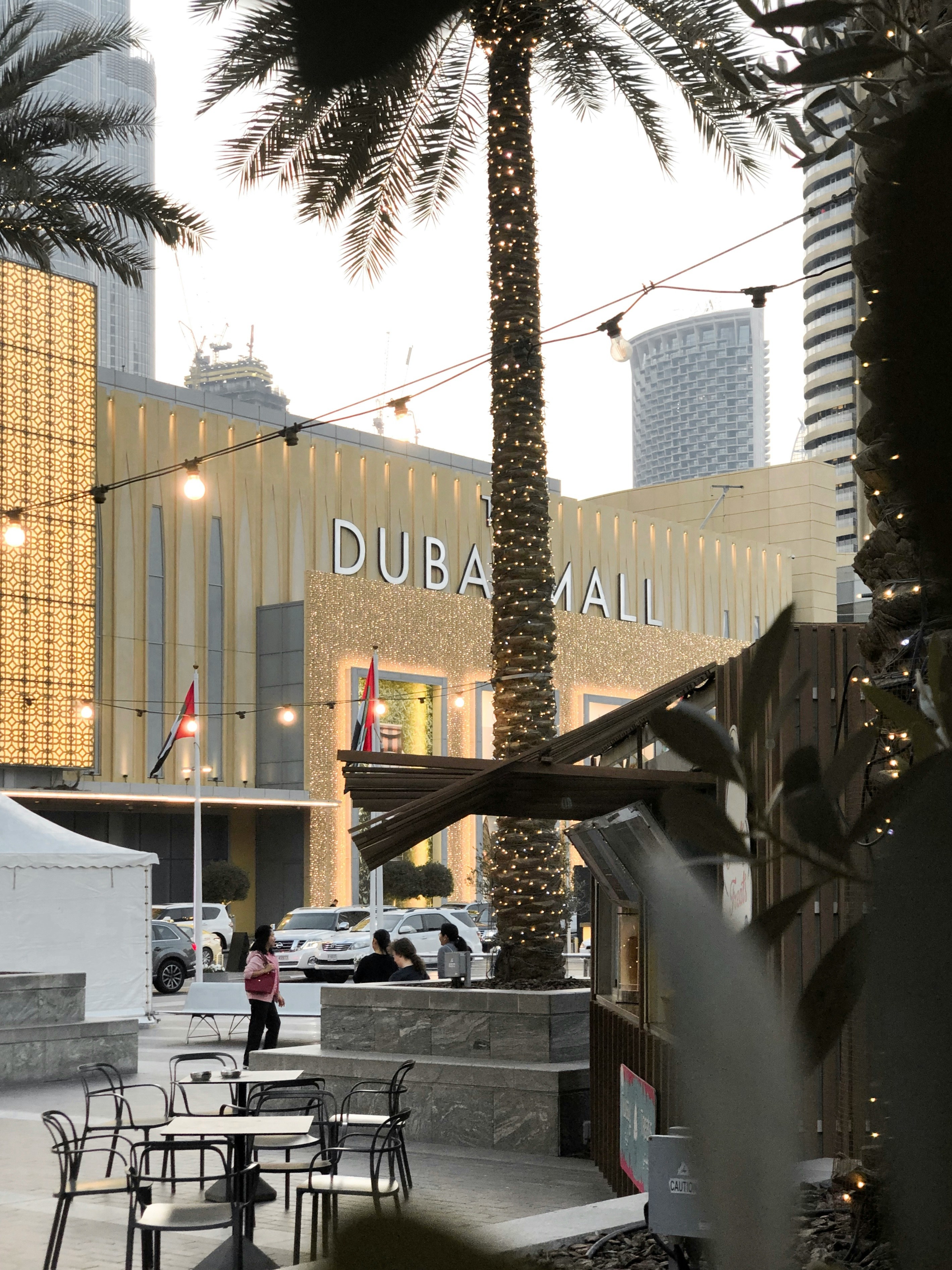 The Dubai Mall — The Icon