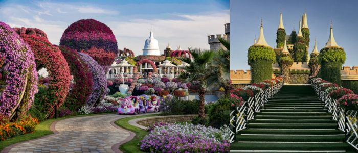 Dubai miracle garden