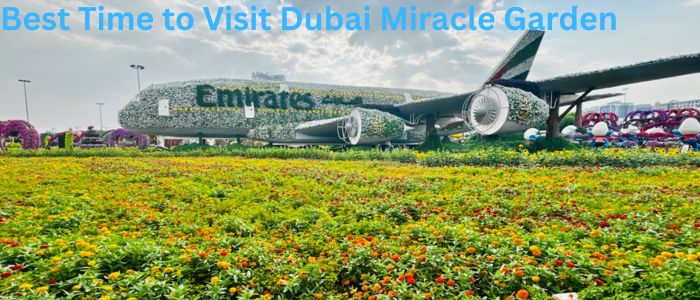 best time to visit dubai miracle garden