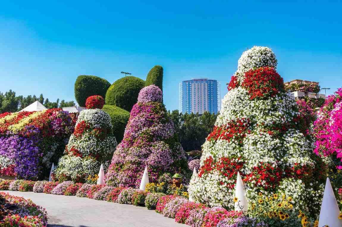Dubai Miracle garden