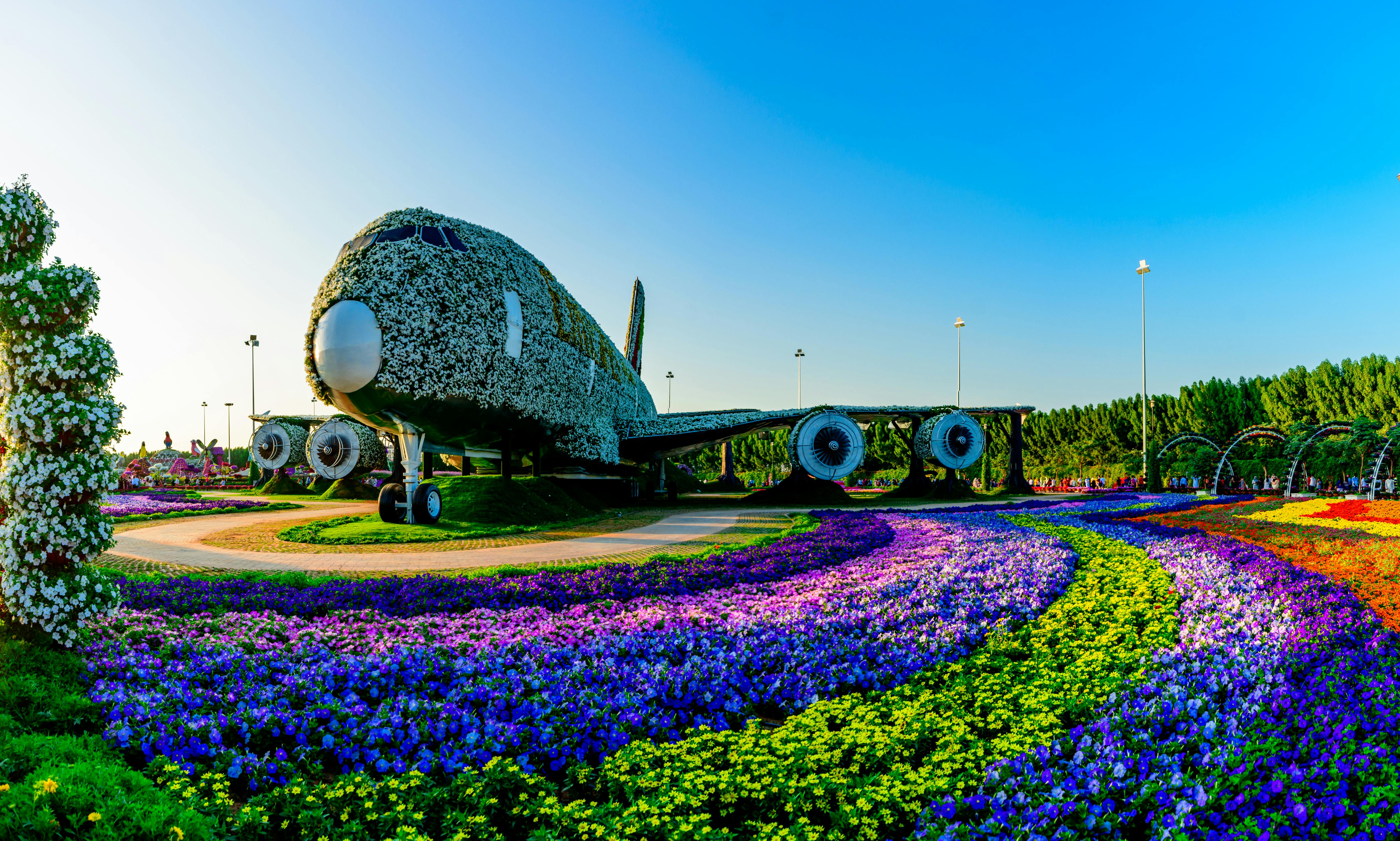 miracle garden emirates plane