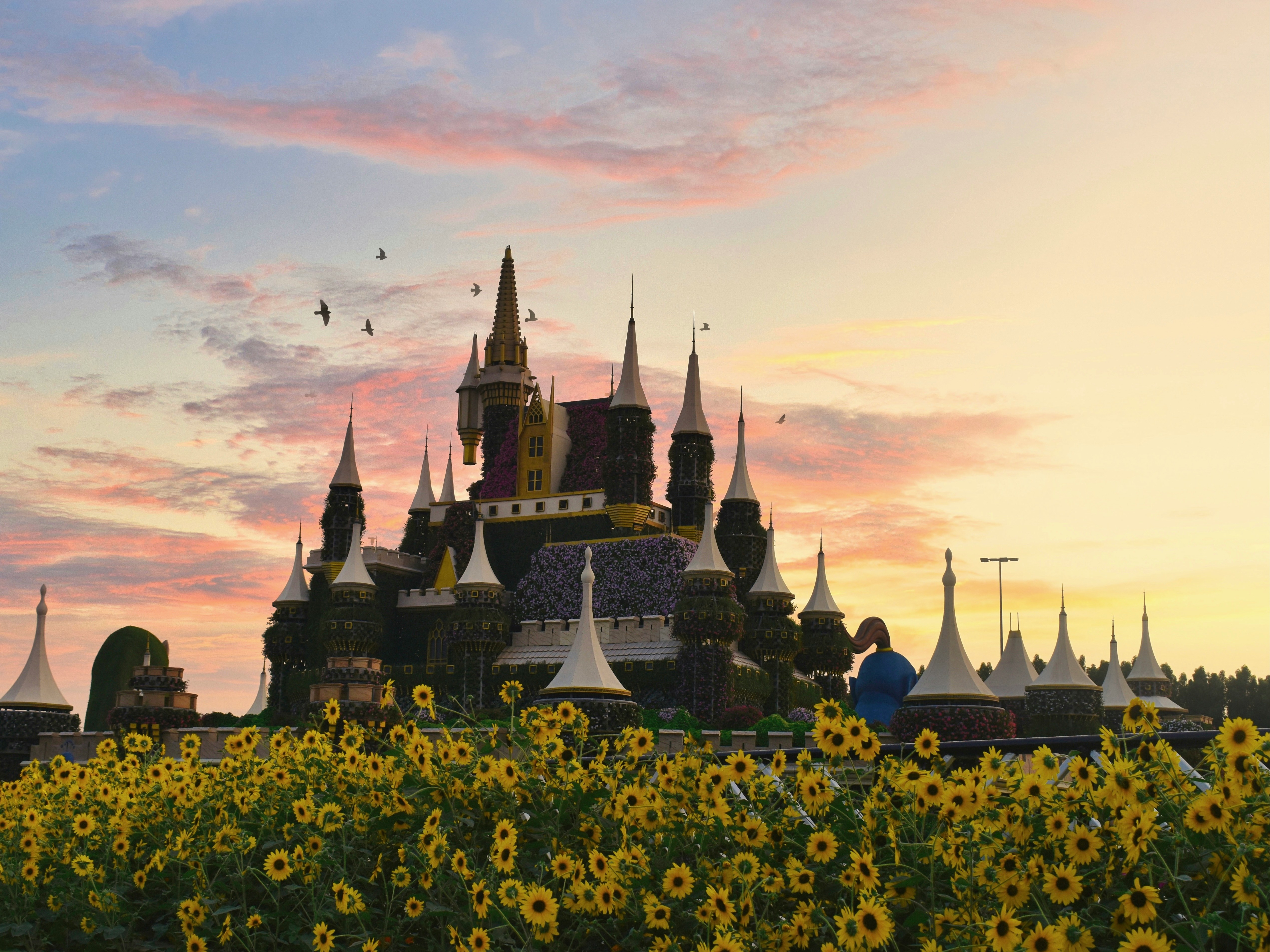 dubai miracle garden evening view