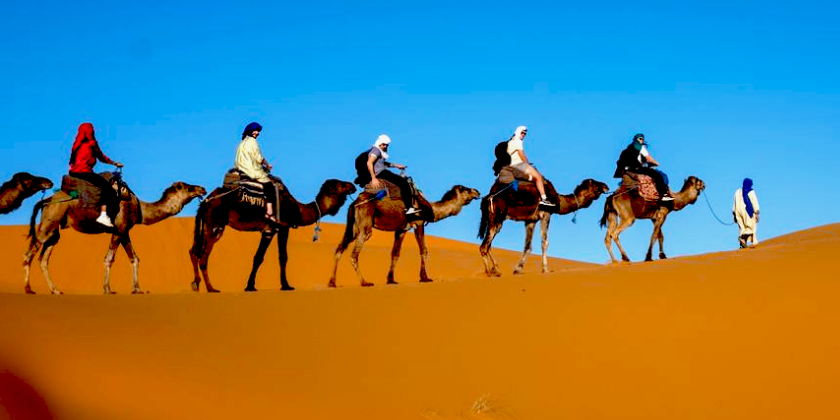 Camel Trekking Desert Safari