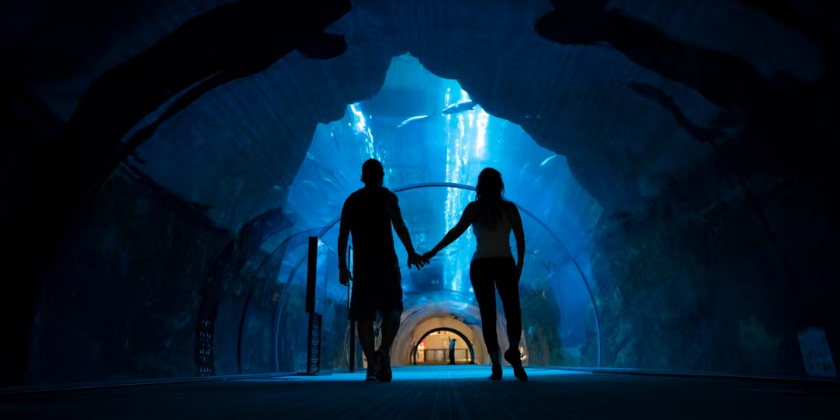 Dubai Aquarium