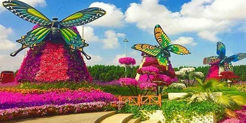 Dubai Butterfly Garden