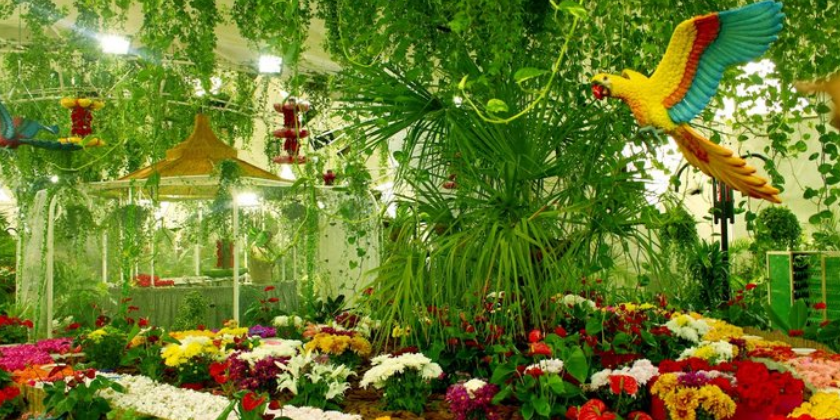 Dubai Butterfly Garden